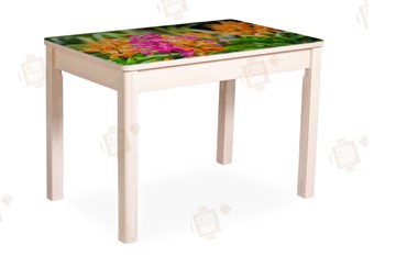 Кухонный раскладной стол Айсберг-02 СТФ, Дуб ЛДСП/полевые цветы/ноги масссив в Копейске