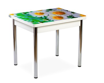 Кухонный пристенный стол СПА-01 СТФ, белый/фотопечать ромашки/опоры прямые хром в Копейске