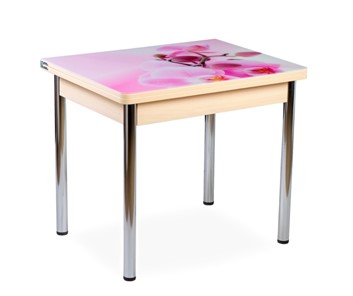 Кухонный пристенный стол СПА-01 СТФ, молочный дуб/фотопечать орхидея/опоры прямые хром в Миассе - предосмотр