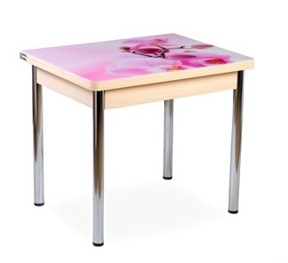 Кухонный пристенный стол СПА-02 СТФ, молочный дуб/фотопечать орхидея/опоры хром в Копейске