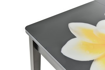 Кухонный раскладной стол Гамбург исп. 1, ноги метал. крашеные №23 (Exclusive h205/черный) в Челябинске - предосмотр 9