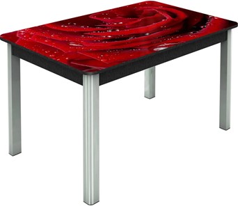 Кухонный стол раскладной Гамбург исп. Мини, ноги метал. крашеные №23, Фотопечать (Цветы №39) в Магнитогорске