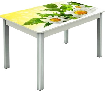 Обеденный раздвижной стол Гамбург исп.2 ноги метал. крашеные №23, Фотопечать (Цветы №3) в Миассе