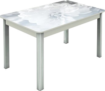 Кухонный стол раздвижной Гамбург исп.2 ноги метал. крашеные №23, Фотопечать (Цветы №48) в Магнитогорске