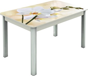 Кухонный стол раздвижной Гамбург исп.2 ноги метал. крашеные №23, Фотопечать (Цветы №5) в Челябинске