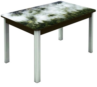 Обеденный раздвижной стол Гамбург Мини, ноги метал. крашеные №23 (Exclusive h010/венге) в Челябинске - предосмотр