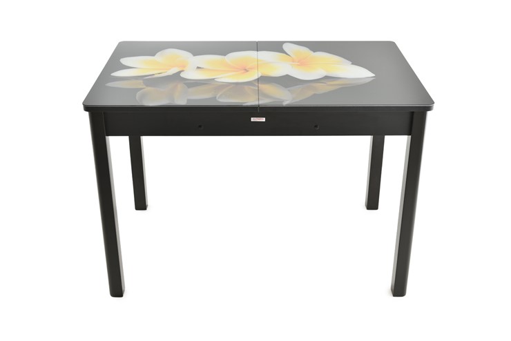 Кухонный стол раскладной Гамбург Мини, ноги метал. крашеные №23 (Exclusive h140/черный) в Челябинске - изображение 7