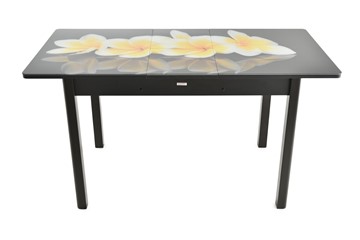 Кухонный стол раскладной Гамбург Мини, ноги метал. крашеные №23 (Exclusive h198/черный) в Челябинске - предосмотр 8