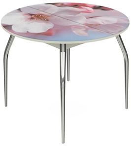 Кухонный раздвижной стол Ривьера - Круг, ноги метал. крашеные №24, ФП (Цветы №15) в Челябинске