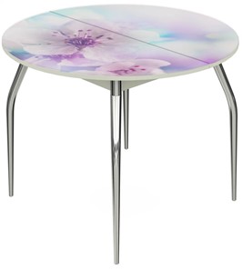 Кухонный раскладной стол Ривьера - Круг, ноги метал. крашеные №24, ФП (Цветы №40) в Копейске