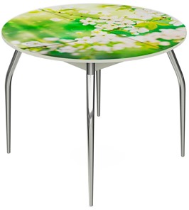 Кухонный раскладной стол Ривьера - Круг, ноги метал. крашеные №24, ФП (Цветы №45) в Миассе