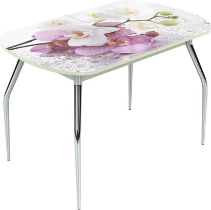 Кухонный раздвижной стол Ривьера исп.1 ноги метал. крашеные №24 Фотопечать (Цветы №44) в Челябинске - изображение