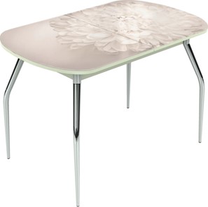 Кухонный раздвижной стол Ривьера исп.2 ноги метал. крашеные №24 Фотопечать (Цветы №28) в Копейске