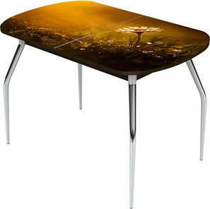 Обеденный раздвижной стол Ривьера исп.2 ноги метал. крашеные №24 Фотопечать (Цветы №43) в Копейске