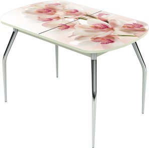 Кухонный стол раздвижной Ривьера исп.2 ноги метал. крашеные №24 Фотопечать (Цветы №8) в Миассе