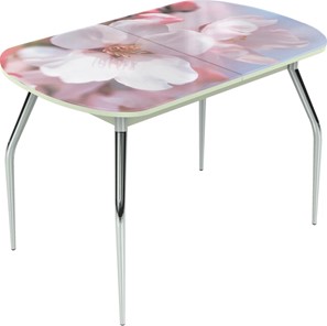 Обеденный раздвижной стол Ривьера мини, ноги хром №5 Фотопечать (Цветы №15) в Миассе