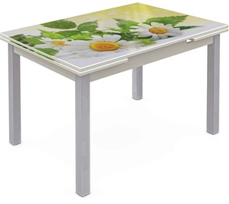 Кухонный стол раскладной Шанхай исп. 2, ноги метал. крашеные №21 Фотопечать (Цветы №3) в Златоусте
