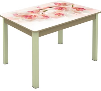 Обеденный стол Мюнхен исп. 1 ноги метал. крашеные №23 Фотопечать (Цветы №10) в Магнитогорске