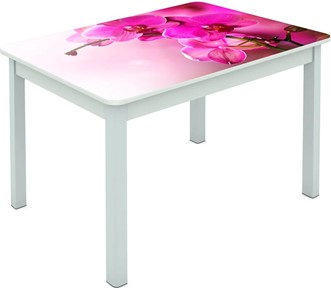 Обеденный стол Мюнхен исп. 1 ноги метал. крашеные №23 Фотопечать (Цветы №16) в Миассе