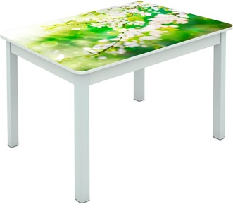 Обеденный стол Мюнхен исп. 1 ноги метал. крашеные №23 Фотопечать (Цветы №45) в Миассе