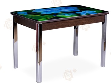 Кухонный раздвижной стол Айсберг-01 СТФ, венге/фотопечать фиалка/ноги хром квадратные в Златоусте