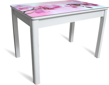 Кухонный раздвижной стол Айсберг-02 СТФ, белое лдсп/орхидея/40 прямые массив белые в Челябинске