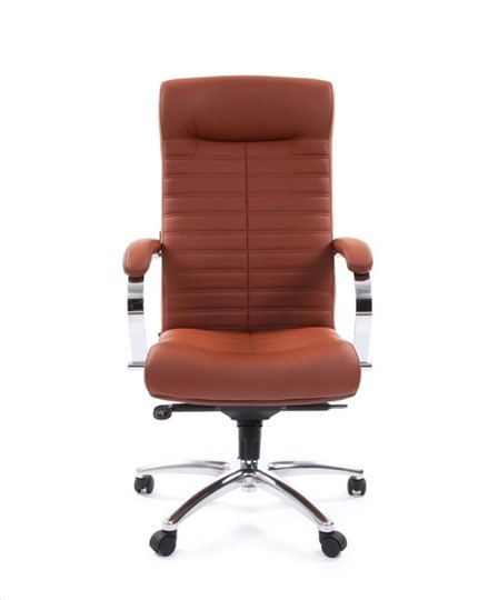 Офисное кресло CHAIRMAN 480 Экокожа Terra 111 (коричневая) в Челябинске - изображение 1