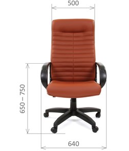 Компьютерное кресло CHAIRMAN 480 LT, экокожа, цвет коричневый в Челябинске - предосмотр 1
