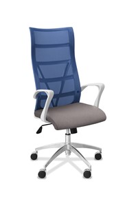 Офисное кресло для руководителя Топ X белый каркас, сетка/ткань TW / синяя/серая в Челябинске