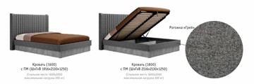 Двуспальная кровать с механизмом Бержер, 1600, Б 2.0.5 в Челябинске - предосмотр 2