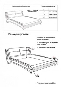 Кровать Сильвия 1400х2000 в Челябинске - предосмотр 13