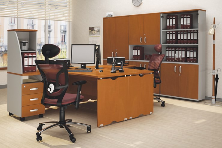 Офисный комплект мебели Милан для 2 сотрудников с тумбочками и большим шкафом в Челябинске - изображение