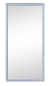 Зеркало навесное Ника (Серый) 119,5 см x 60 см в Челябинске - предосмотр