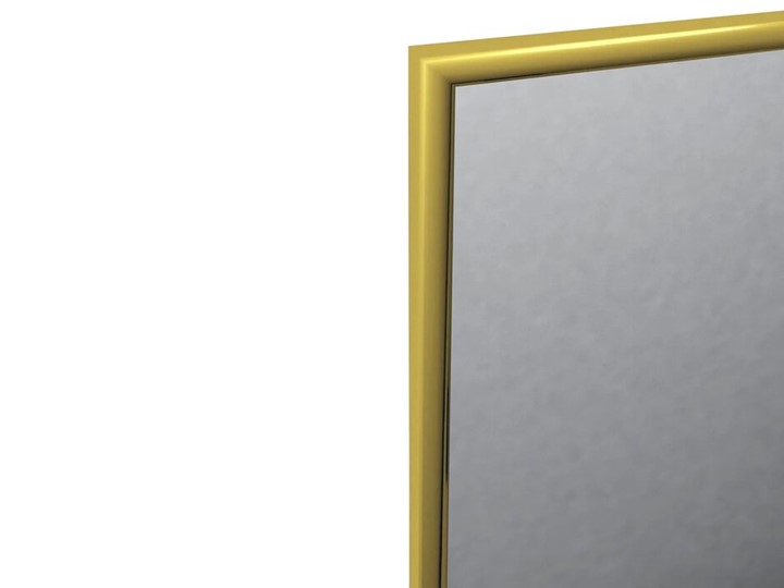 Зеркало навесное в гардероб Сельетта-5 глянец золото (1500х500х9) в Челябинске - изображение 1