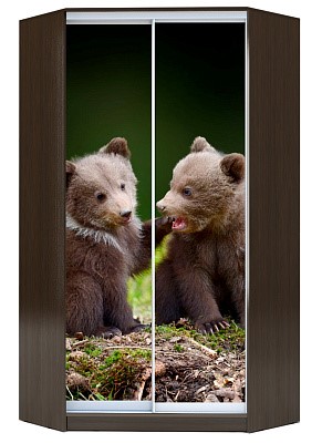 Шкаф угловой Хит-У-24-4-77-25, Медвежата, Венге в Челябинске - изображение