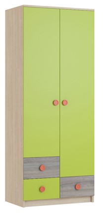 Детский 2-дверный шкаф Пуговка Шк130 в Копейске - изображение