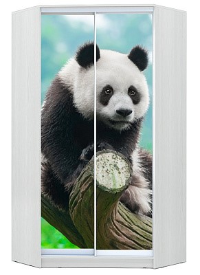Шкаф угловой Хит-У-24-4-77-29, Панда, Белый в Магнитогорске - изображение