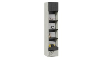 Комбинированный шкаф Оксфорд-2 ТД-399.07.20 в Миассе