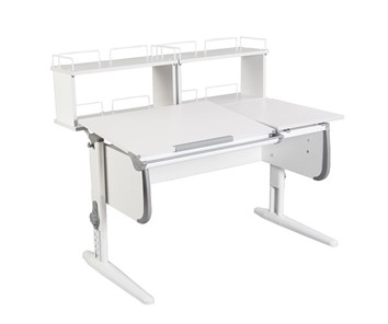 Детский стол-трансформер Дэми 1/75-40 (СУТ.25) + Polka_zz 1/600 (2 шт.)  белый/белый/Серый в Златоусте