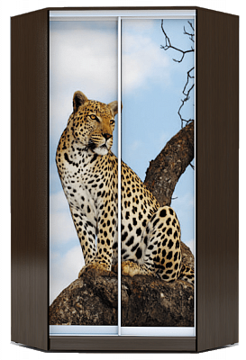 Шкаф угловой 2300х1103, ХИТ У-23-4-77-04, Леопард, венге аруба в Челябинске - изображение