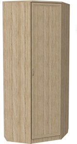 Распашной шкаф 400 угловой, цвет Дуб Сонома в Магнитогорске - предосмотр