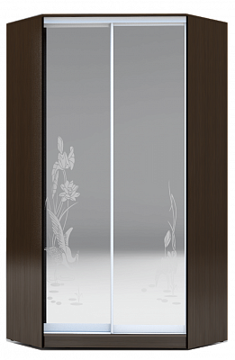 Угловой шкаф 2300х1103, ХИТ У-23-4-66-01, цапля, 2 зеркала, венге аруба в Челябинске - изображение