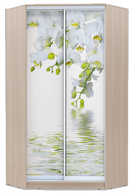 Шкаф угловой 2400х1103, ХИТ У-24-4-77-05, Белая орхидея, шимо светлый в Челябинске - изображение