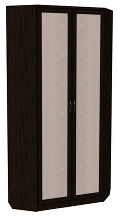 Распашной шкаф 401 угловой со штангой, цвет Венге в Магнитогорске - изображение