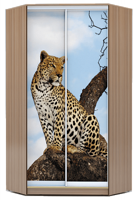 Шкаф 2200х1103, ХИТ У-22-4-77-04, Леопард, шимо темный в Челябинске - изображение
