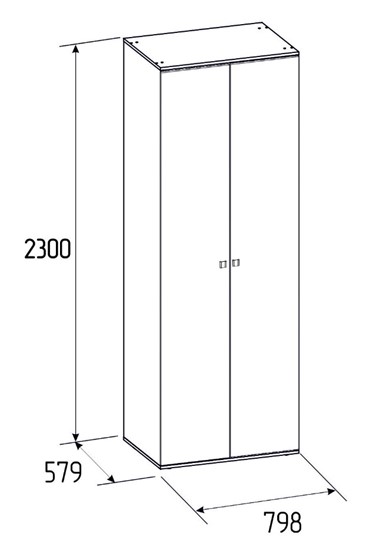 Шкаф двухдверный Neo 54, Фасад Стандарт + Стандарт в Миассе - изображение 2