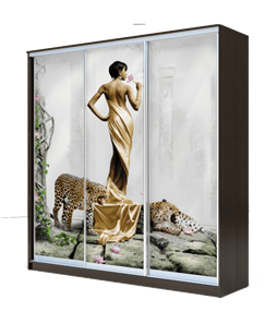 Шкаф 3-х дверный 2200х1770х420, Девушка с леопардом ХИТ 22-4-18-777-03 Венге Аруба в Копейске