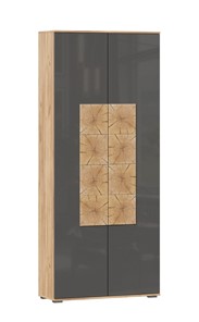 Шкаф двухстворчатый Фиджи с декоративными накладками 659.310, Дуб Золотой/Антрацит в Миассе