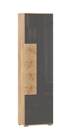 Шкаф одностворчатый Фиджи с декоративными накладками 659.300, Дуб Золотой/Антрацит в Копейске - изображение