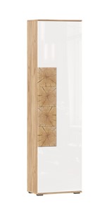 Шкаф одностворчатый Фиджи с декоративными накладками 659.300, Дуб Золотой/Белый в Челябинске